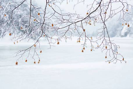 Winter landscape of Plitvice lakes National Park, Croatia