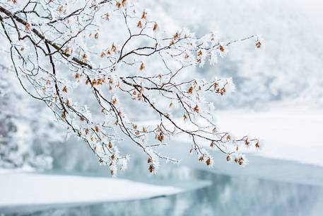 Winter landscape of Plitvice lakes National Park, Croatia