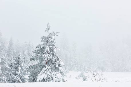 Winter landscape of Plitvice lakes National Park, Croatia