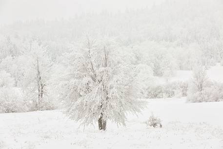 Winter landscape of Plitvice lakes National Park, Croatia