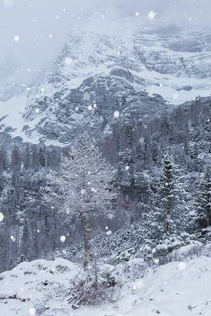 A winter view of the lake of Sorapiss, Dolomites, Italy