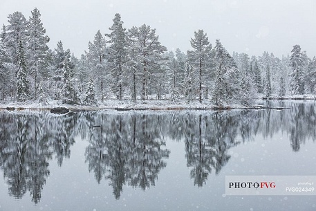Randsfjorden lake under the first autumn snowfall, Norway