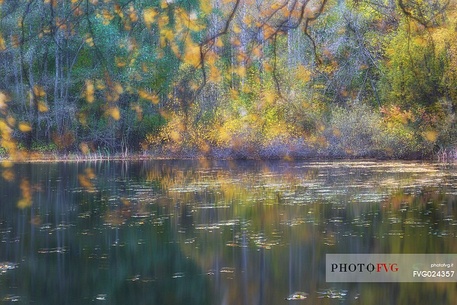 Autumn in the norwegian lake, Oslo, Norway