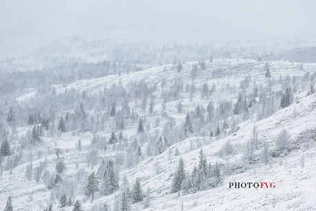 Snowy norwegian landscape, Etnedal, Norway