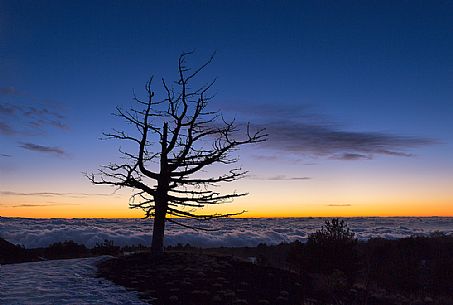 Nightfall from Sartorius mountains, mount Etna natural park, Sicily, Italy