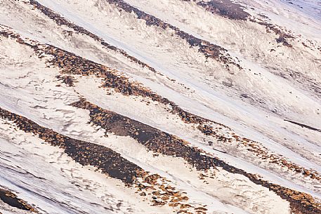 Detail of the slope of Etna volcano from Sartorius mountais, Sicily, Italia