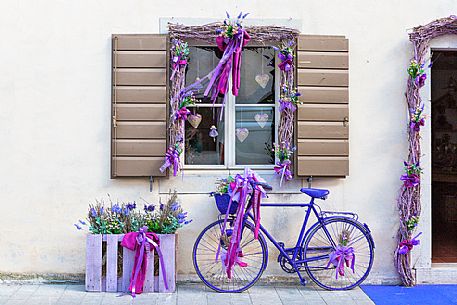Palace of Venzone village. Venzone il the village of lavender, Friuli Venezia Giulia, Italy Palace of Venzone village. Venzone il the village of lavender, Friuli Venezia Giulia, Italy