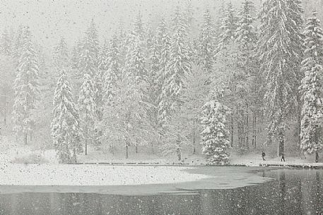 Fusine lake under the snowfall, Tarvisio, Friuli Venezia Giula, Italy