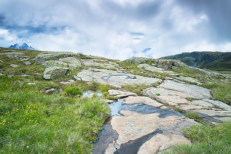 Col Margherita mountain top, dolomites, Passo San Pellegrino, Italy