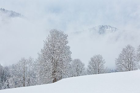 Snowy forest in Bad Kleinkirchheim, Carinthia, Austria, Europe Snowy forest in Bad Kleinkirchheim, Carinthia, Austria, Europe