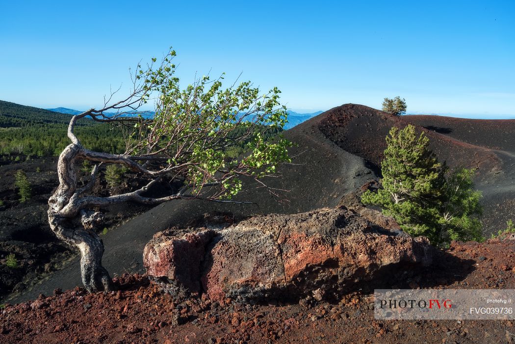 Windy landscape of Monti Sartorius mount in the Etna natural park, Sicily, Italy 