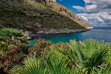 Cala Tonnarella dell'Uzzo bay in the Zingaro nature reserve, Sicily, Italy Cala Tonnarella dell'Uzzo bay in the Zingaro nature reserve, Sicily, Italy