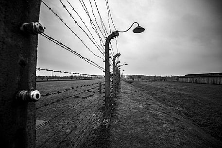 Barbed wire fence in Auschwitz Birkenau concentration camp, Poland, Europe Barbed wire fence in Auschwitz Birkenau concentration camp, Poland, Europe