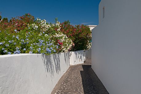 Detail of alley and traditional house in Stromboli island, Sicily, Italy, Europe