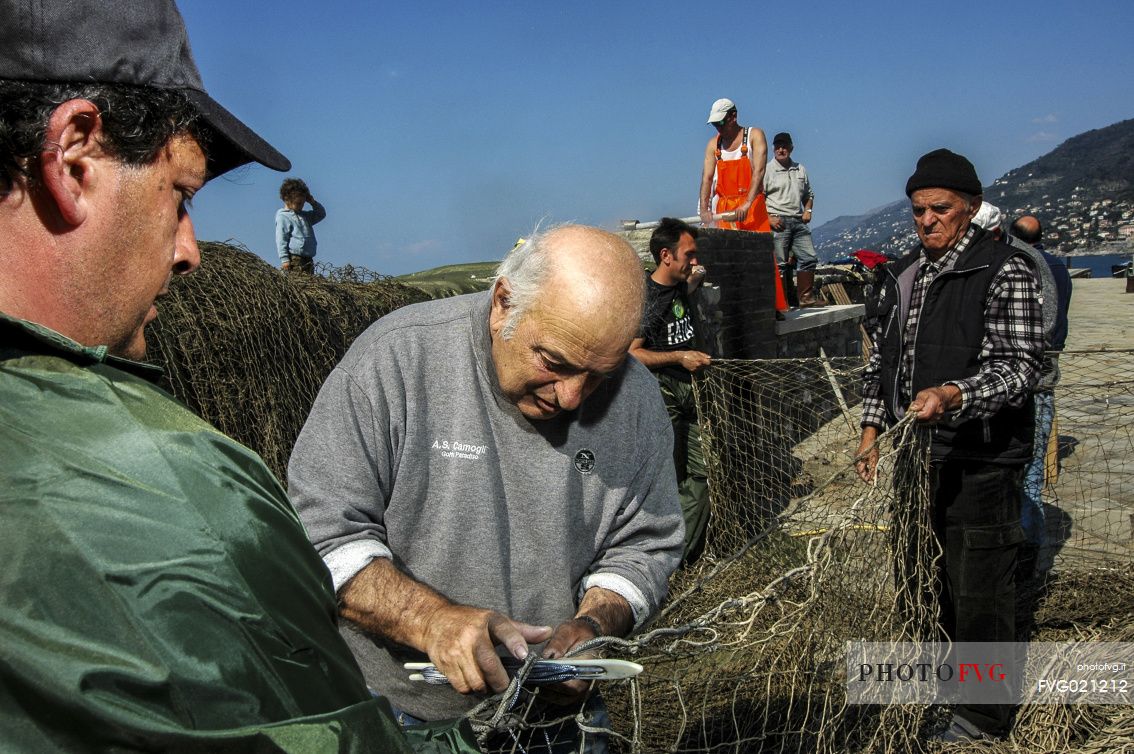 Repairing fishing nets in the harbour of Camogli, Little Tonnara of Camogli, Liguria, Italy