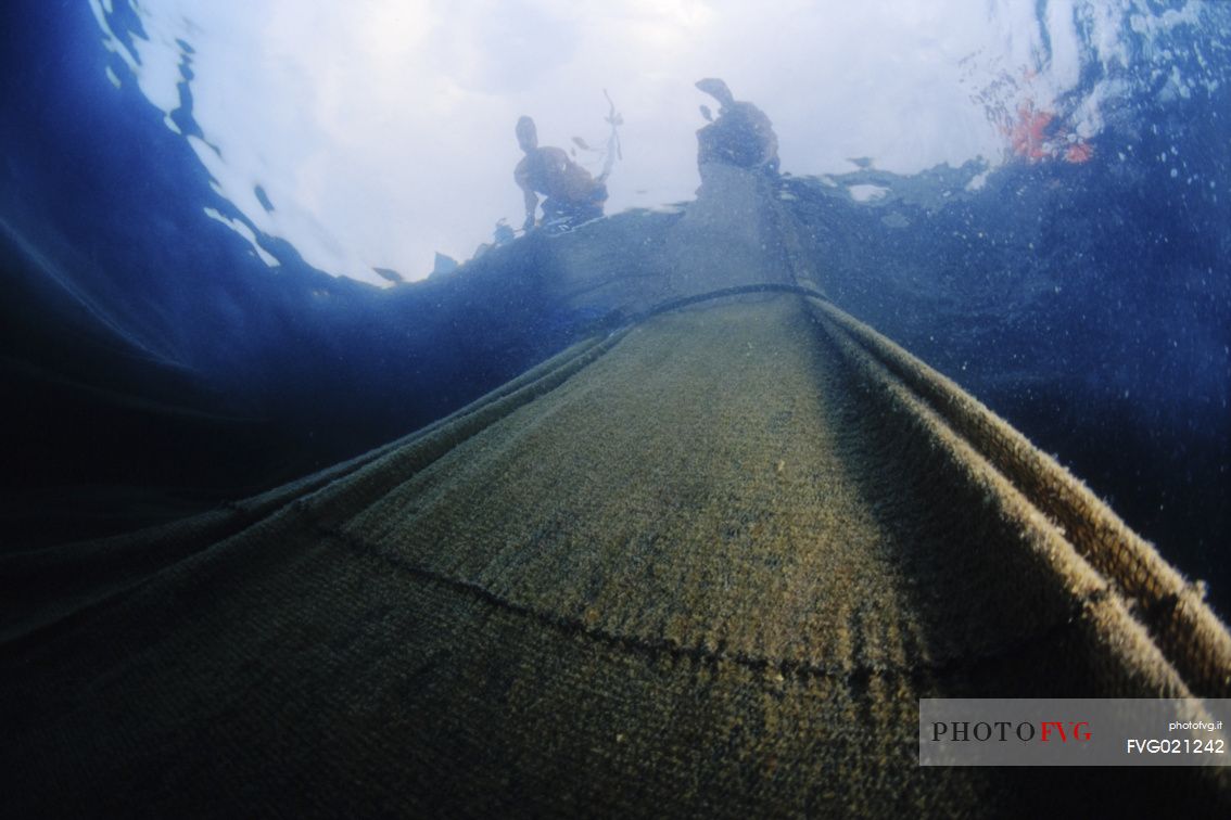 View of the death room in the tonnara when the net it pick up by the catch. It's the fish view, Camogli, Liguria, Italy