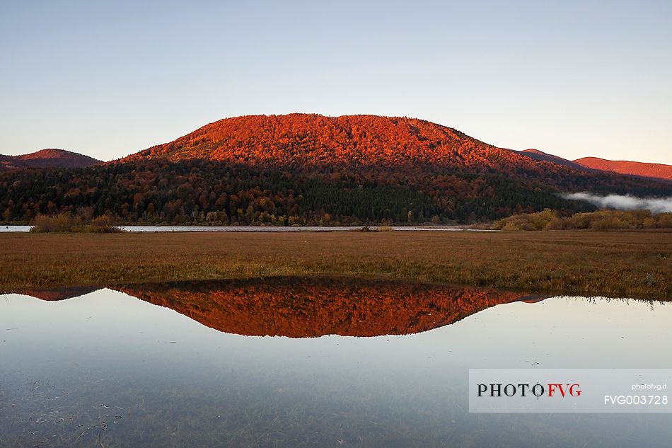 Reflections on Cerknica Lake