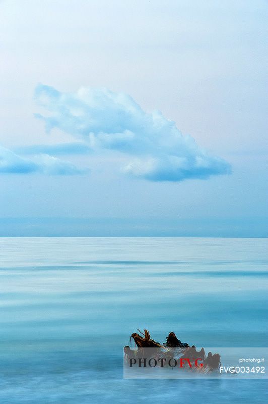 Solitary wood cradled by sea on the Lignano Sabbiadoro beach, Adriatic sea, Friuli Venezia Giulia, Italy, Europe