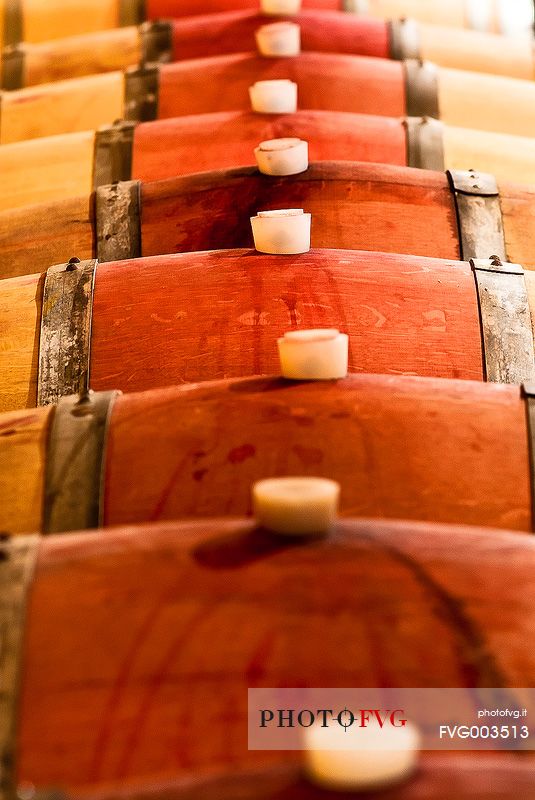 Barrels of wine in the winery I Magredi in north east Italy, Domanins, Friuli Venezia Giulia, Italy, Europe