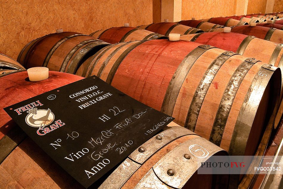 Barrels of wine in the winery I Magredi in north east Italy, Domanins, Friuli Venezia Giulia, Italy, Europe