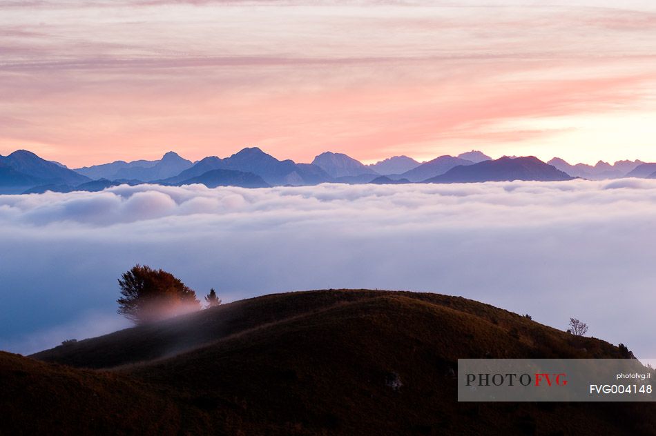 Clouds in the Colvera valley, in the background sunrise enlightens the Carnic prealps, Friuli Venzia Giulia, Italy, Europe