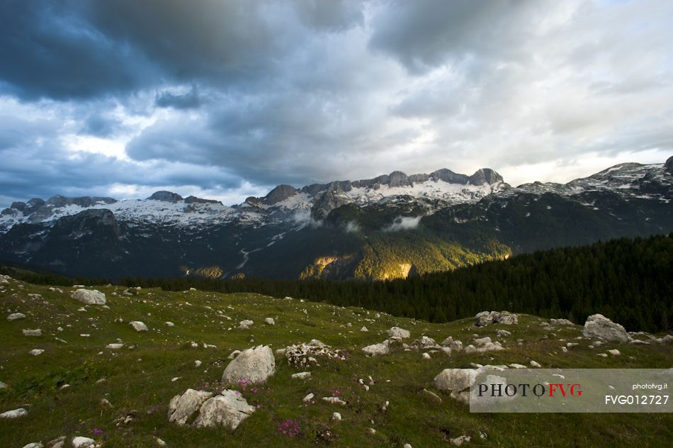 Sunset on Mount Canin from the Montasio plateau, Julian Alps, Friuli Venezia Giulia, Italy, Europe