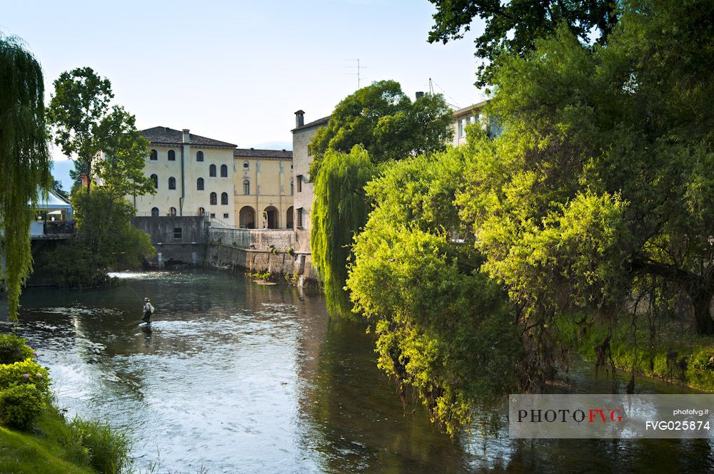 A fisherman in the Livenza river in Sacile, the Garden of Serenissima, Friuli Venezia Giulia, Italy, Europe