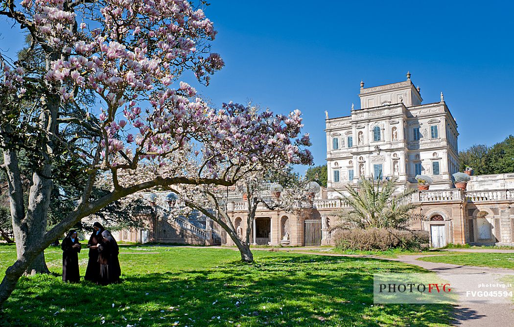 Nuns under the flowering tree and in the background the Villa Doria Pamphili an iItalian government representative villa, Rome, Italy, Europe