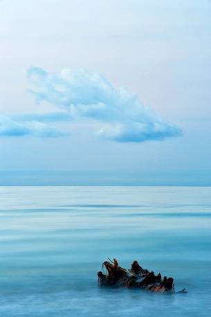 Solitary wood cradled by sea on the Lignano Sabbiadoro beach, Adriatic sea, Friuli Venezia Giulia, Italy, Europe