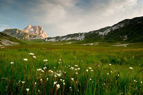 Campo Imperatore in the National Park of Gran Sasso and Monti della Laga. In the background Corno Grande mount, Abruzzo, Italy, Europe.