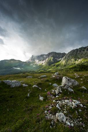 The Montasio plateau at sunset, Julian Alps, Friuli Venezia Giulia, Italy, Europe