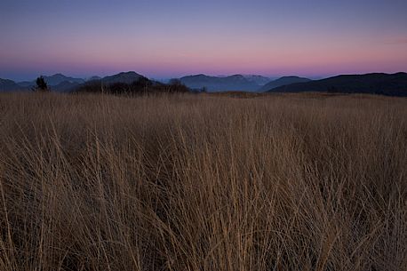 Meadows of the mount Valinis in the Eastern Alps, in the background the Julian Alps in the light of sunset, Meduno, Friuli Venezia Giulia, Italy, Europe