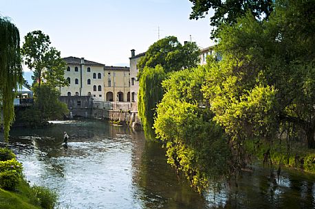 A fisherman in the Livenza river in Sacile, the Garden of Serenissima, Friuli Venezia Giulia, Italy, Europe