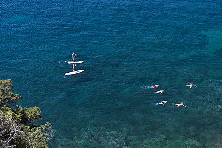 Snorkeling and paddle board in the clear waters of the Viticcio gul, Elba island, Tuscany, Italy