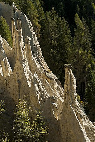 The earth Pyramids of Perca near Brunico, Perca, Pusteria valley, Trentino Alto Adige, Italy