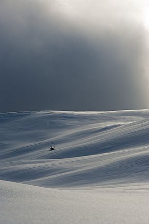 A solitary tree among snow covered slopes near Casera Razzo, Dolomites, Cadore, Italy