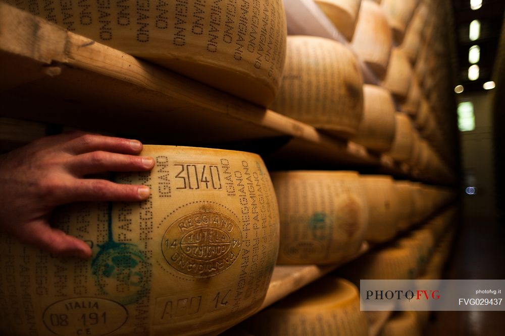 Parmigiano Reggiano, typical italian cheese, Parma, Emilia Romagna, Italy