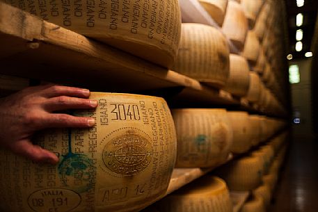 Parmigiano Reggiano, typical italian cheese, Parma, Emilia Romagna, Italy