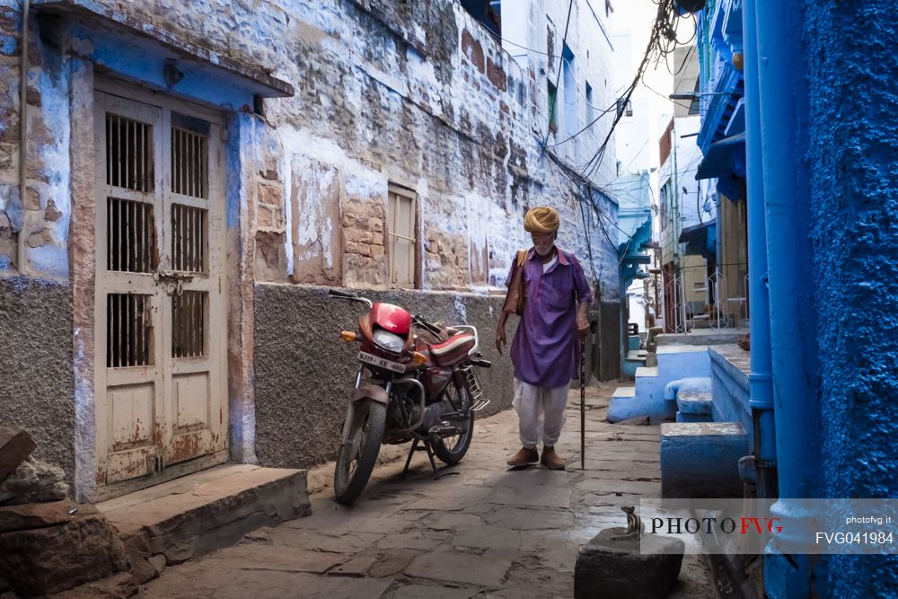 Squirrel looking an indian old man walks in the street of Jodhpur, the blue city, Rajasthan, India