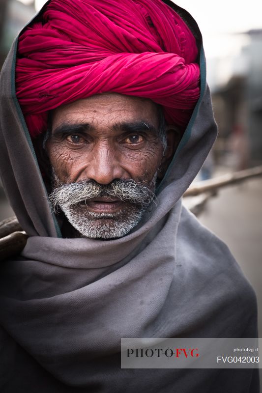 Portrait of old rajasthani Indian man with red turban, Pali, Rajasthan, India