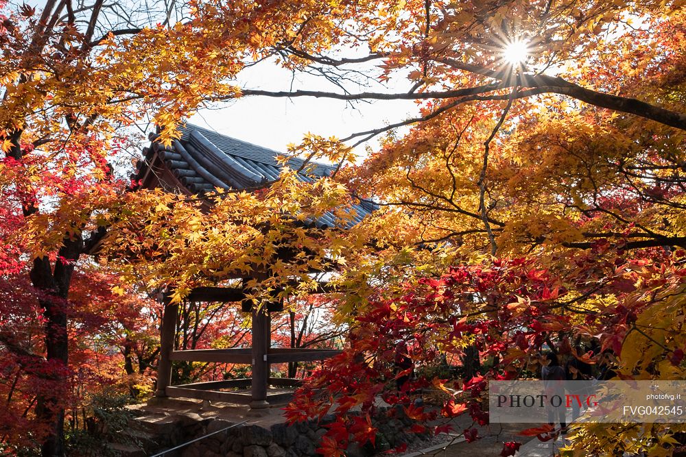 The bell of Jojakkoji Temple in Kyoto, Arashiyama district, Kyoto, Japan