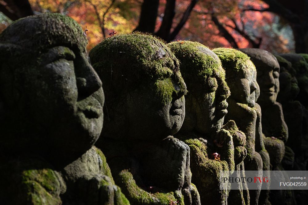 Some of the 1200 Rakan statues in Otagi Nenbutsu-ji temple in Arashiyama, Kyoto, Japan