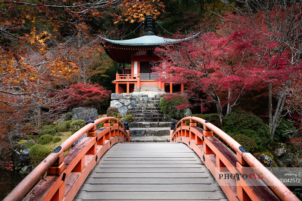 The red bridge at Daigo-ji temple in Kyoto surrounded by autumn colors, Japan