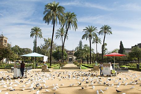 The Plaza de America, located in the Parque de Mara Luisa, Seville, Spain