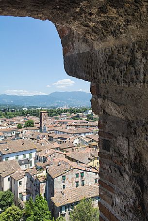 The city of Lucca seen from Guinigi tower, Tuscany, Italy