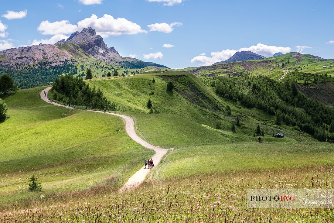 Path from Passo Gardena towards the Forcelles refuge with the Sassongher Mount on background in Badia valley