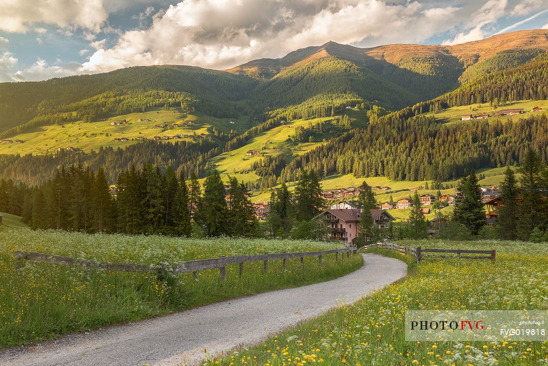 Meadows of Moso at sunset from Fiscalina valley, dolomites, Italy