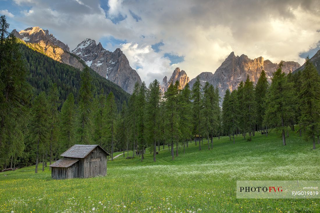 Meadows of Fiscalina valley with the Sesto peaks at sunset in the background, dolomites, Italy