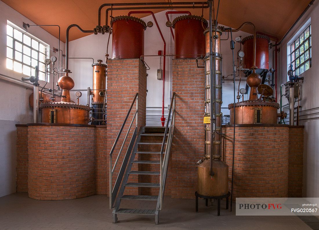 Distillery of Tenuta di Villanova in Farra d'Isonzo- Gorizia