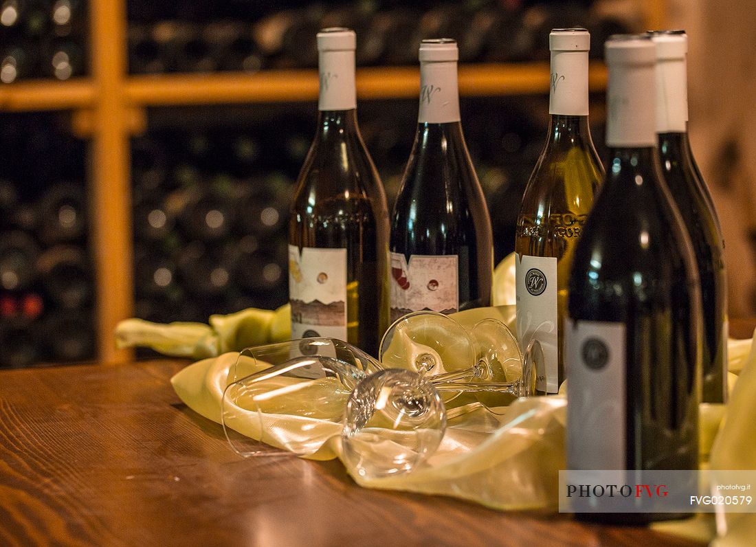 Wine bottles in the cellar of the Tenuta Villanova in Farra d'Isonzo - Gorizia